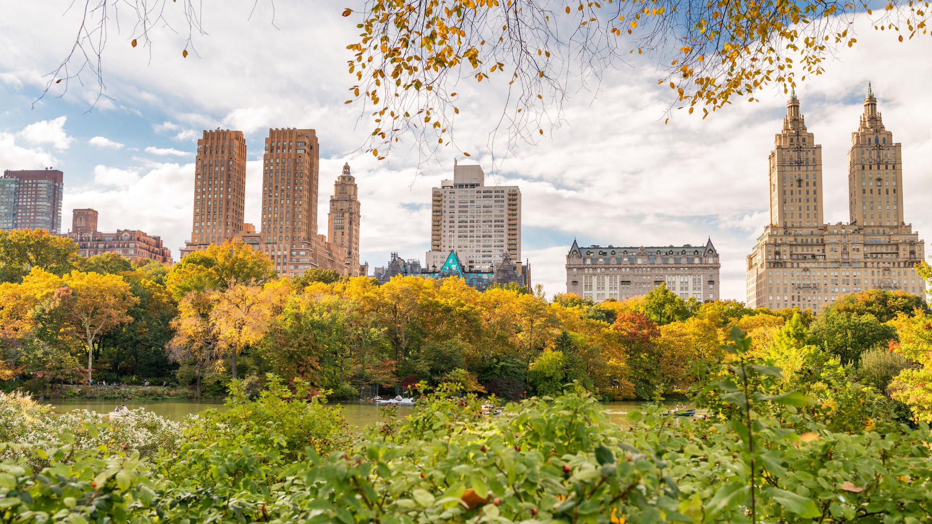 The skyline of new york city is visible through the trees in central park.