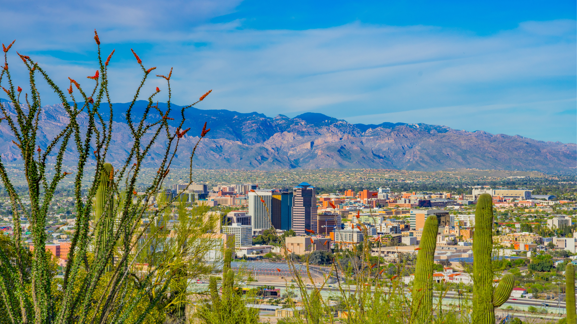 A cityscape with mountains in the background and a cactus in the foreground.