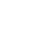 insurance security icon
