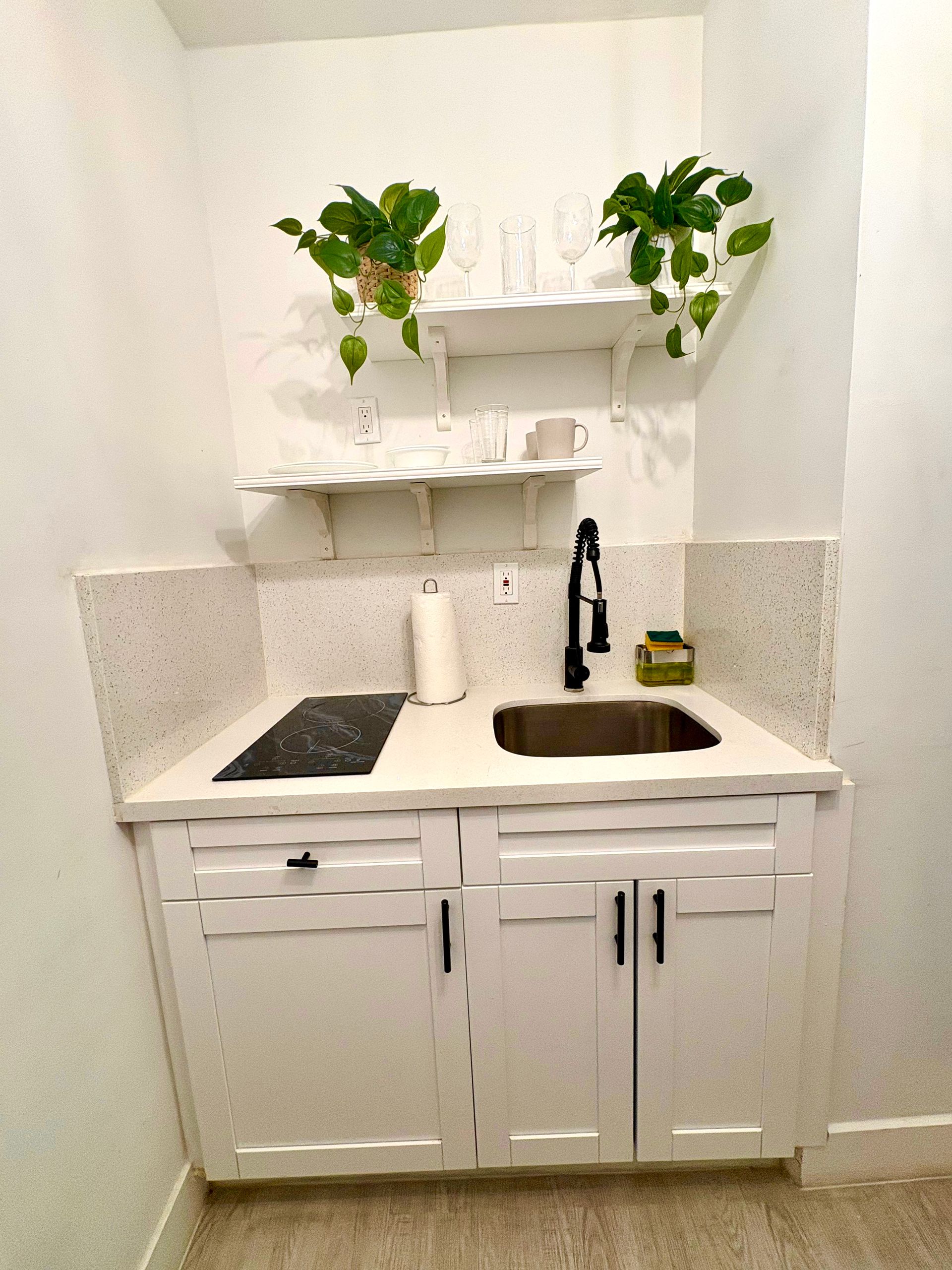 Small white kitchenette with sink, cooktop, and shelves with plants.
