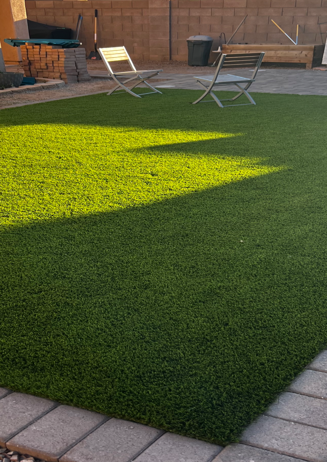 Lawn with a Lot of Green Grass