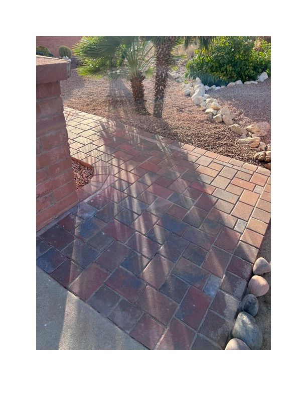 A brick walkway with a palm tree in the background.
