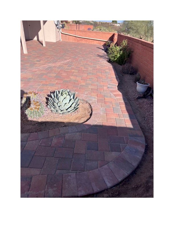 A brick patio with a cactus in the middle of it.