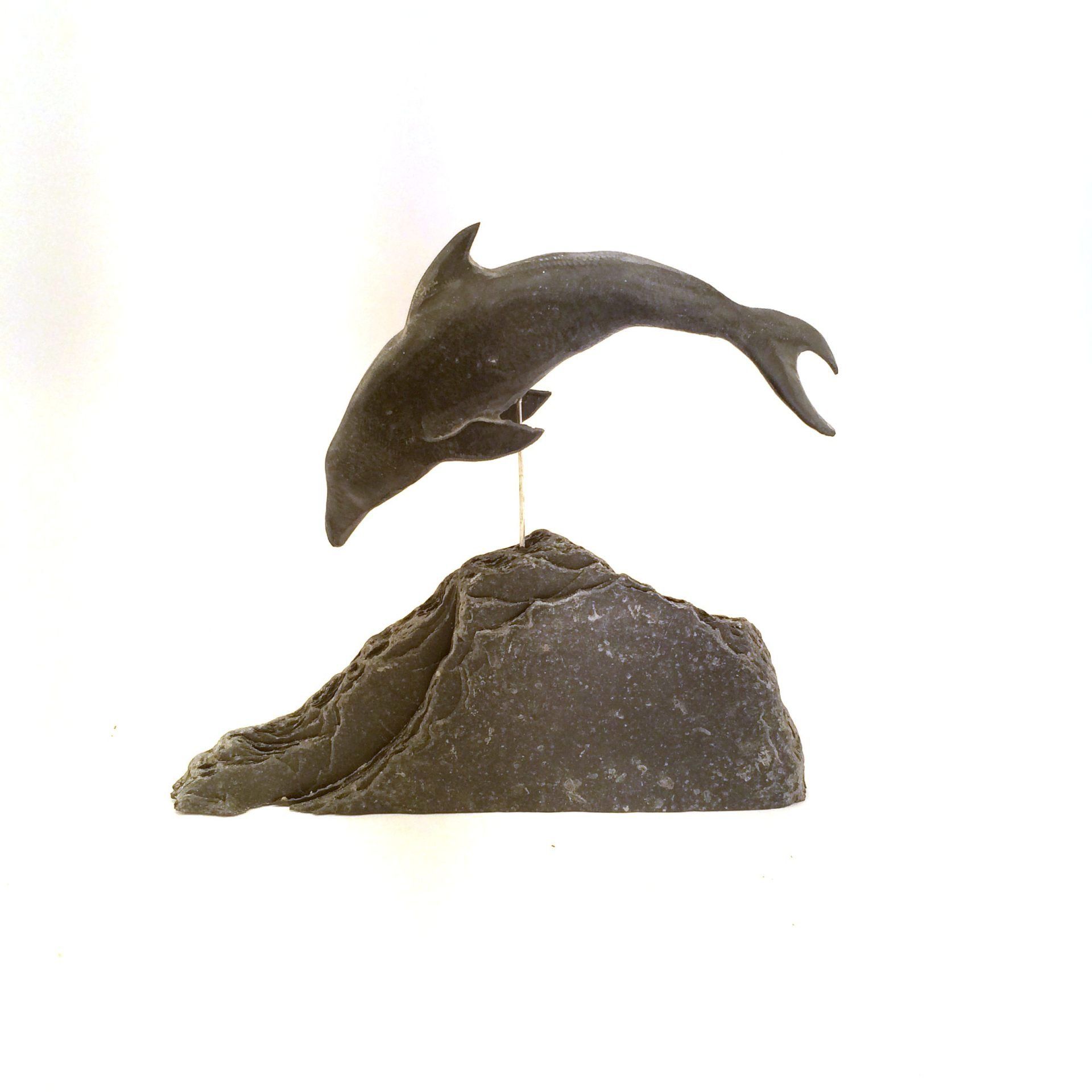 Stone Dolphin, dolphin