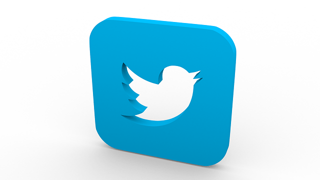 A blue twitter icon with a bird cut out of it