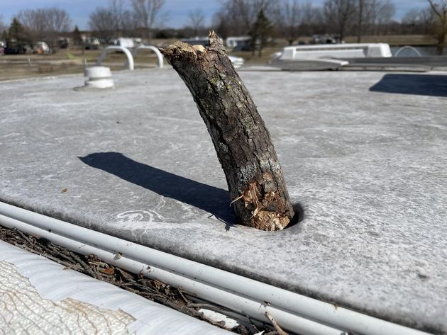 A tree branch is sticking out of a hole in a concrete surface.