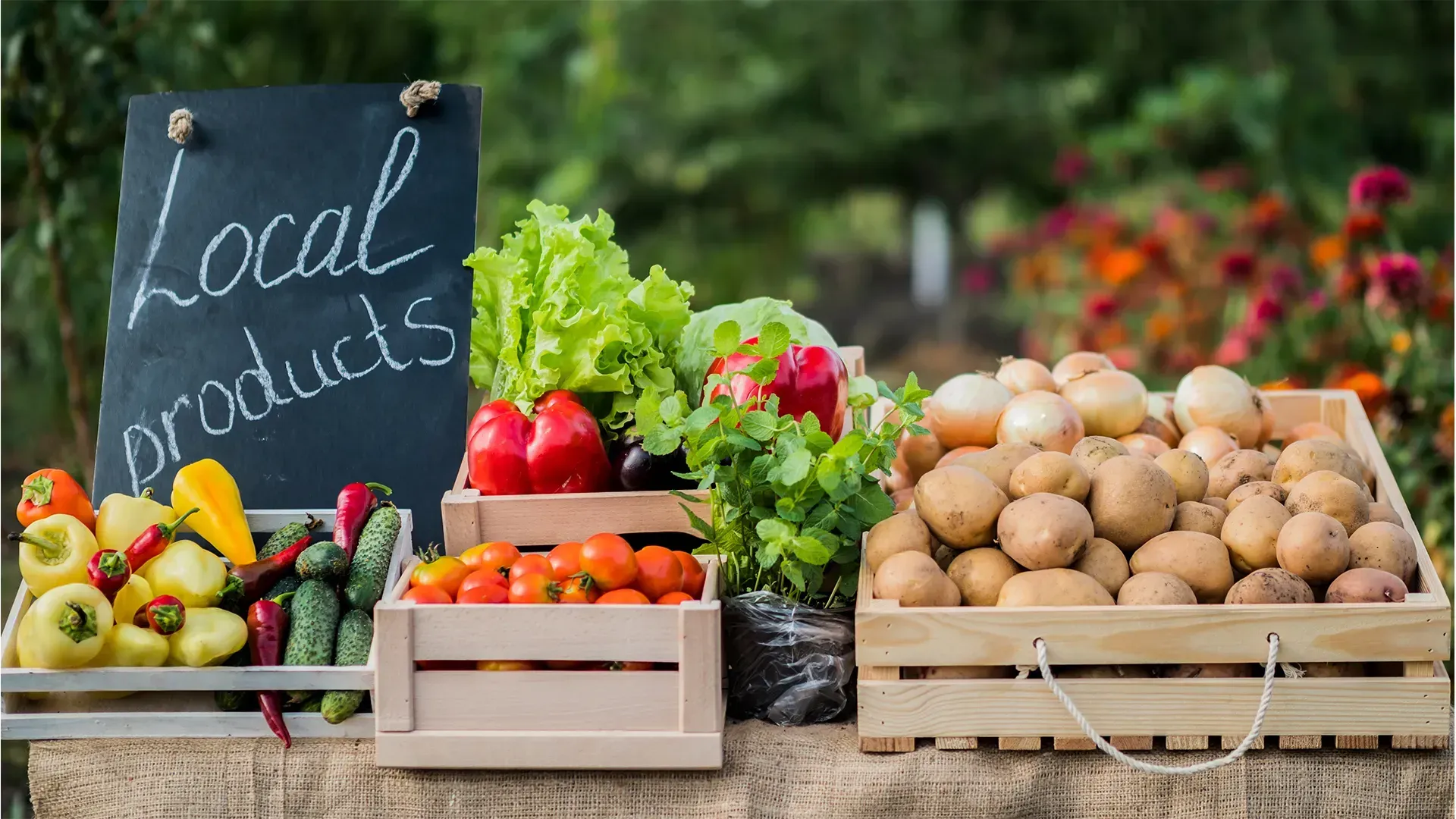 Local Produce and Farm Sources