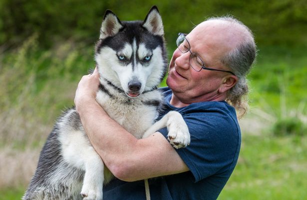 A man is holding a husky dog with blue eyes