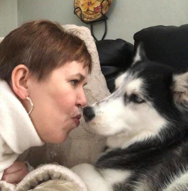 A woman is kissing a husky dog on the nose.