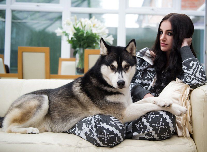 A woman is laying on a couch with a husky dog