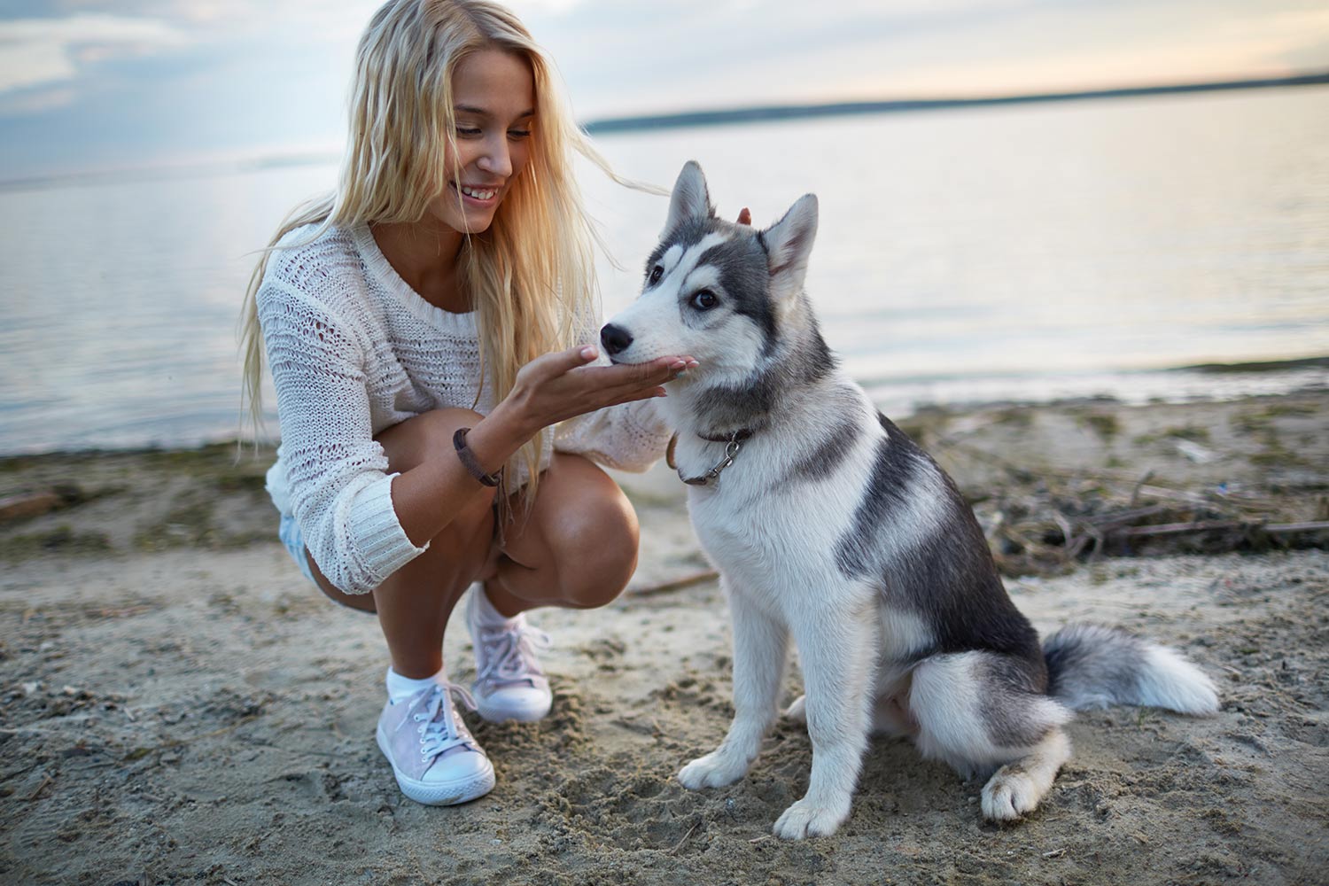 A woman is petting a husky dog on the beach.