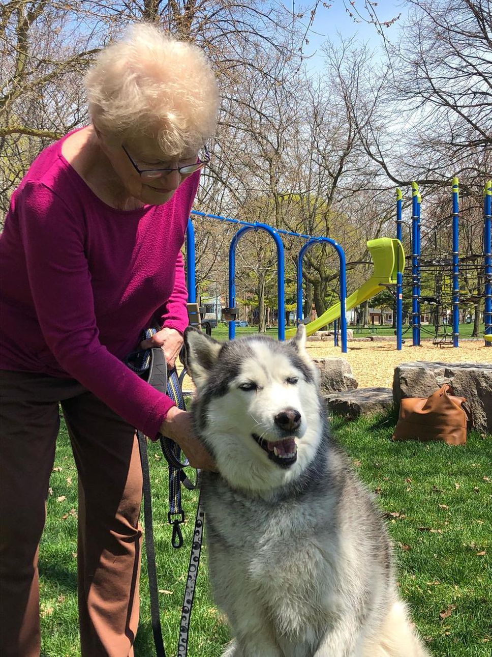 A woman petting a husky dog in front of a playground