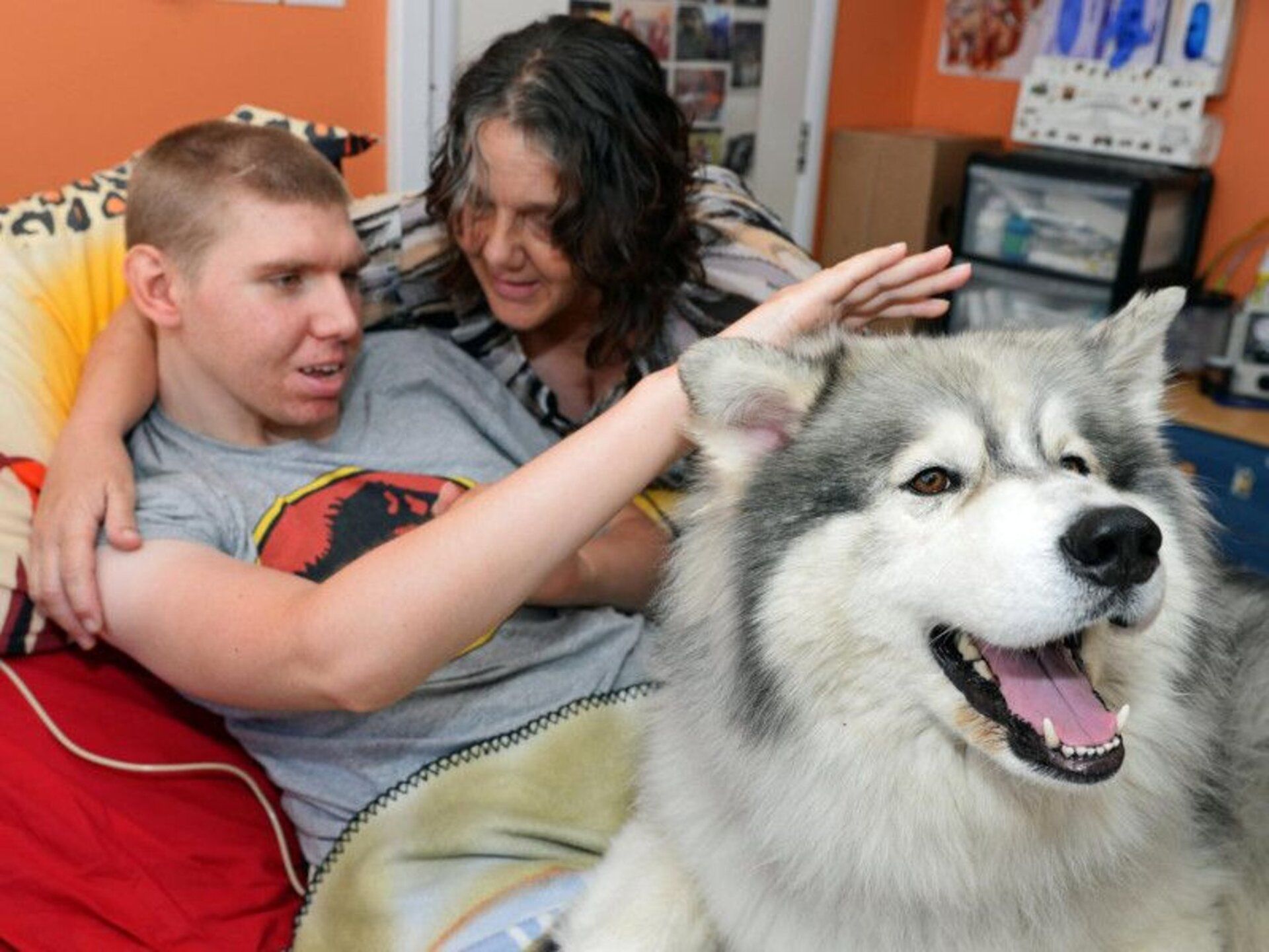 A man and woman petting a husky dog on a couch