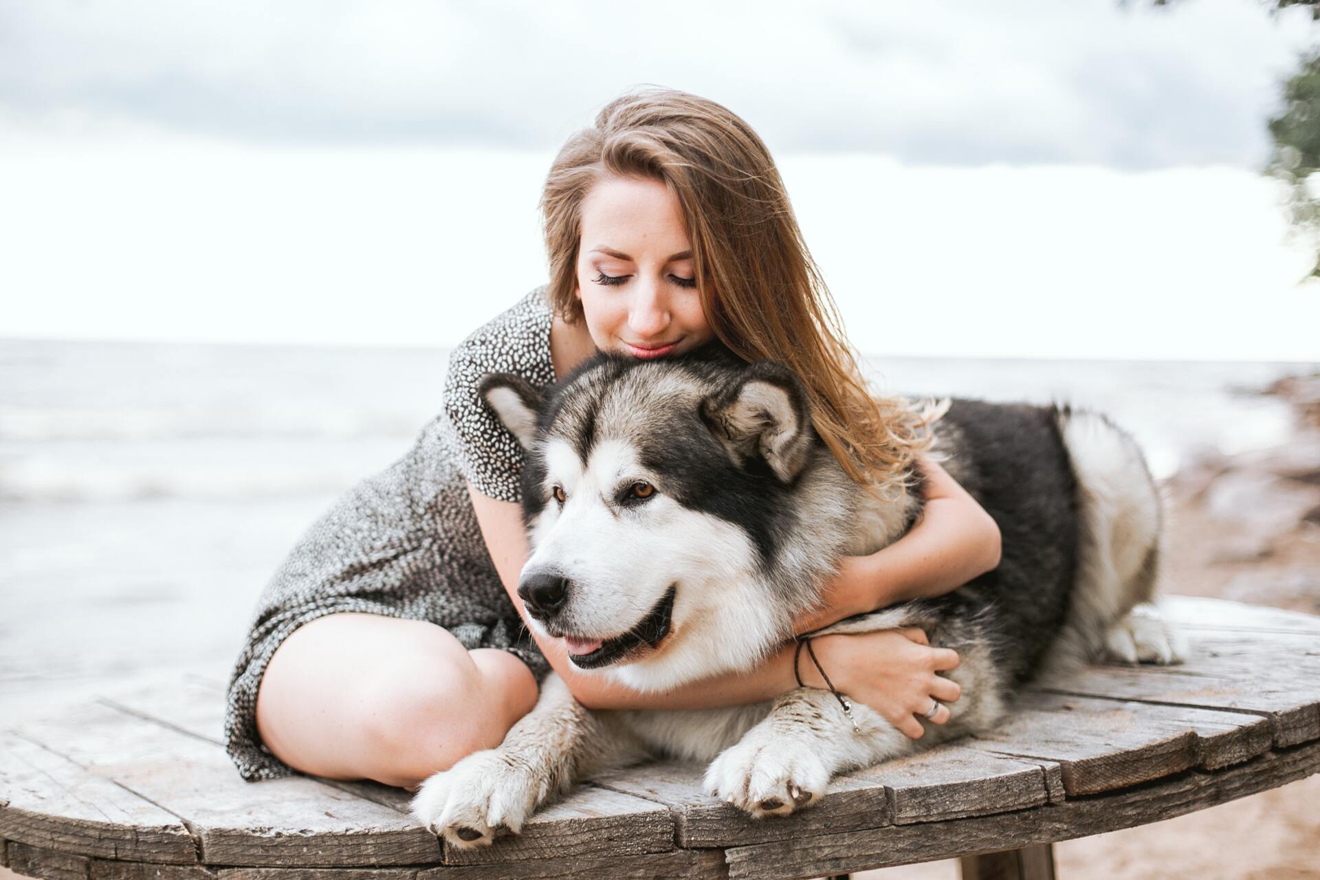 A woman is sitting at a table hugging a husky dog.