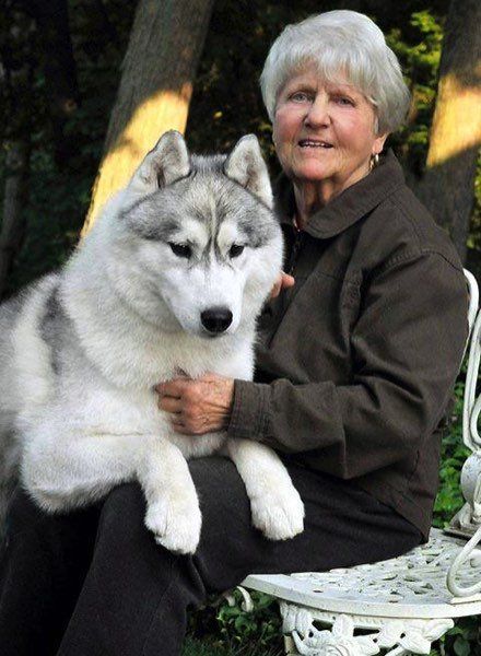 A woman is sitting on a bench holding a husky dog