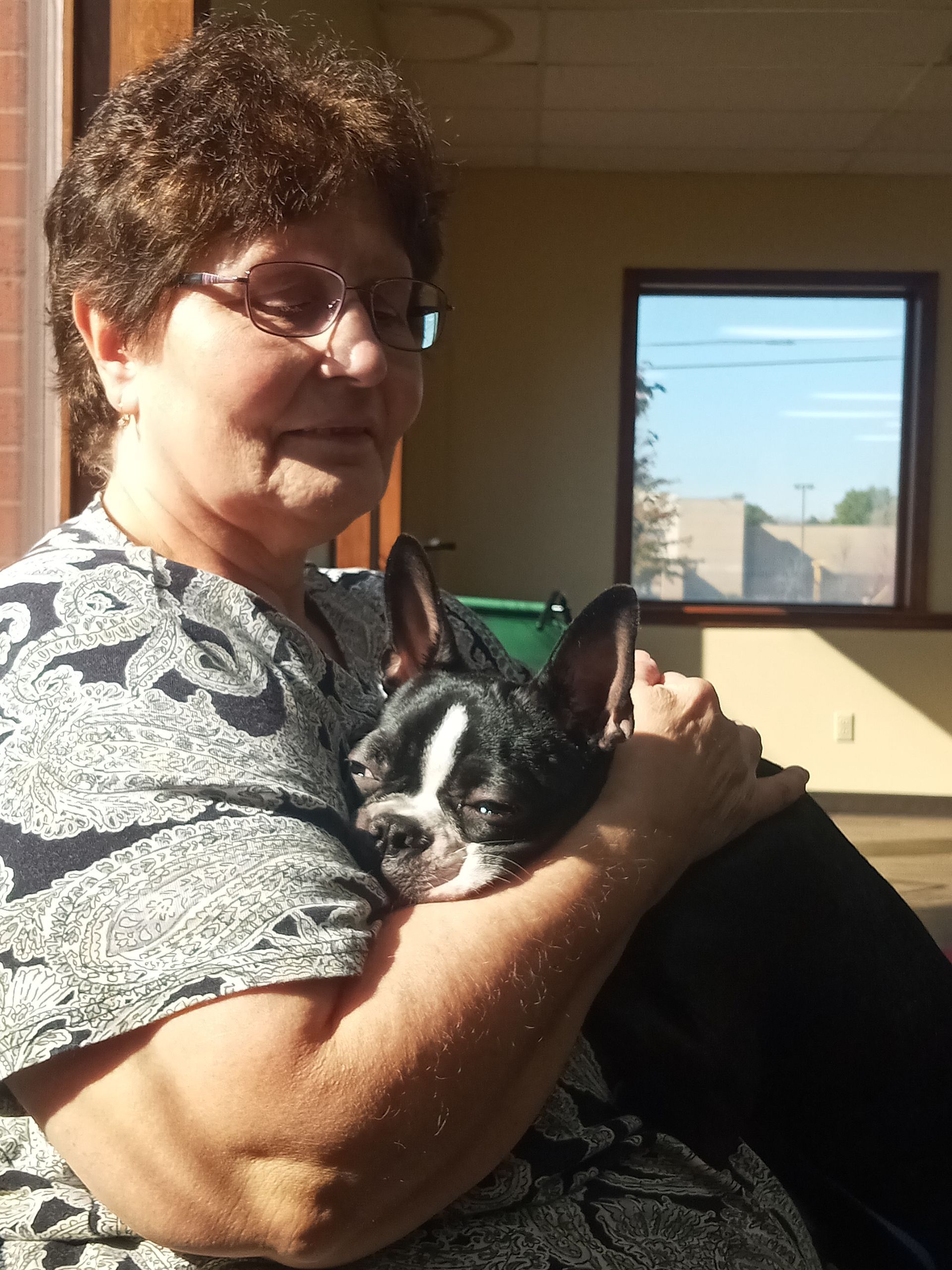 Woman holding a black and white dog. Sunlit room, looking through a window.
