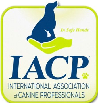 Logo for the International Association of Canine Professionals: a blue dog silhouette in a lime green hand, text below.