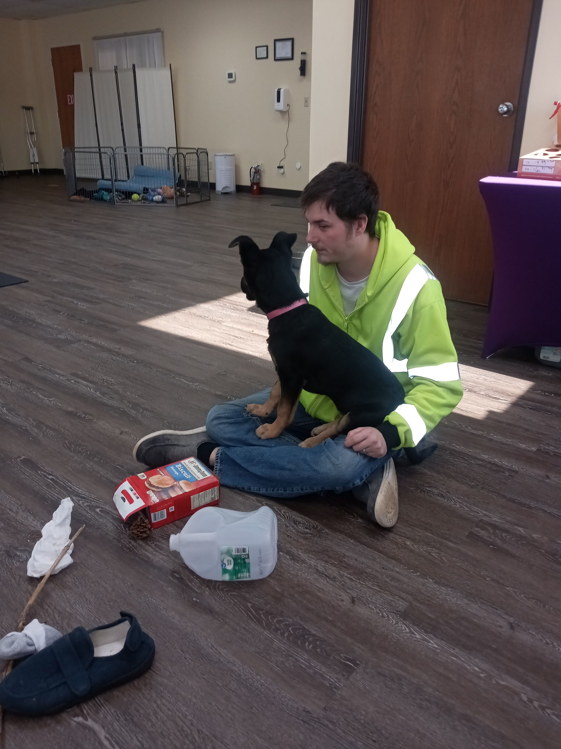 A person sits cross-legged with a black dog on their lap, looking at each other indoors.