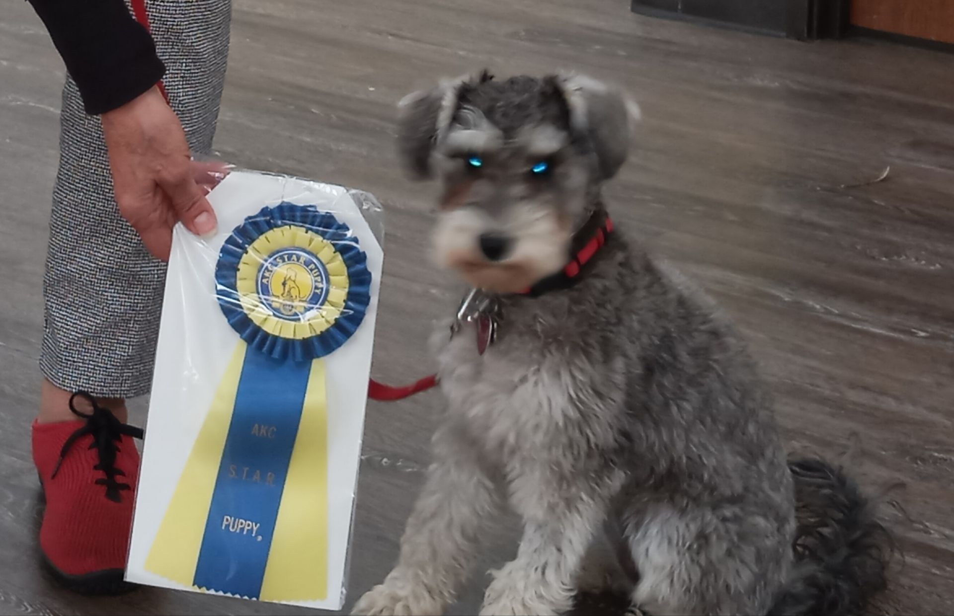 A couple and a dog in an indoor training facility; the woman holds a certificate, and the man pets the dog.