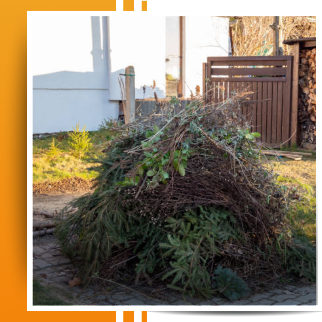 an of image of dump garbage