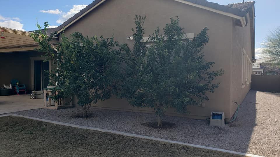 House with a Lot of Trees — San Tan Valley, AZ — Cool Trimmings