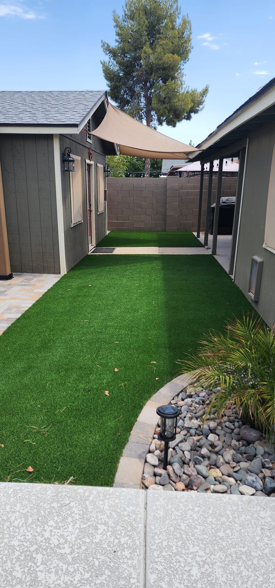 Backyard with a Lush Green Lawn — San Tan Valley, AZ — Cool Trimmings