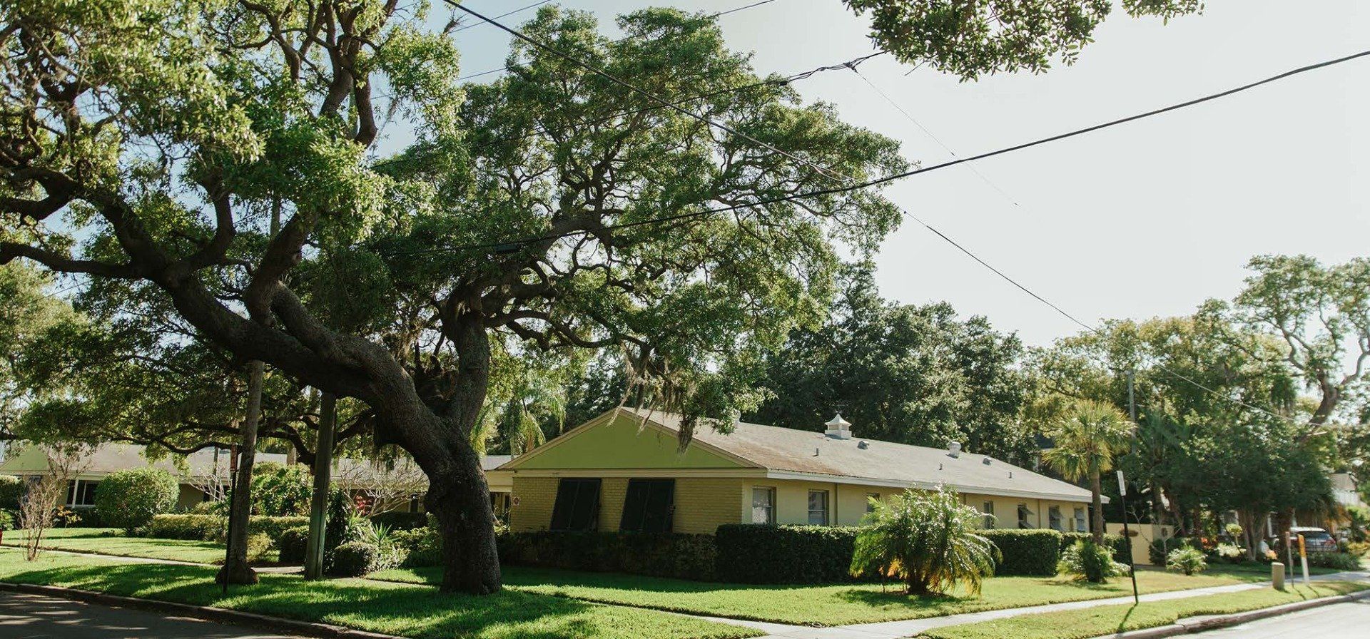 A house with a large tree in front of it