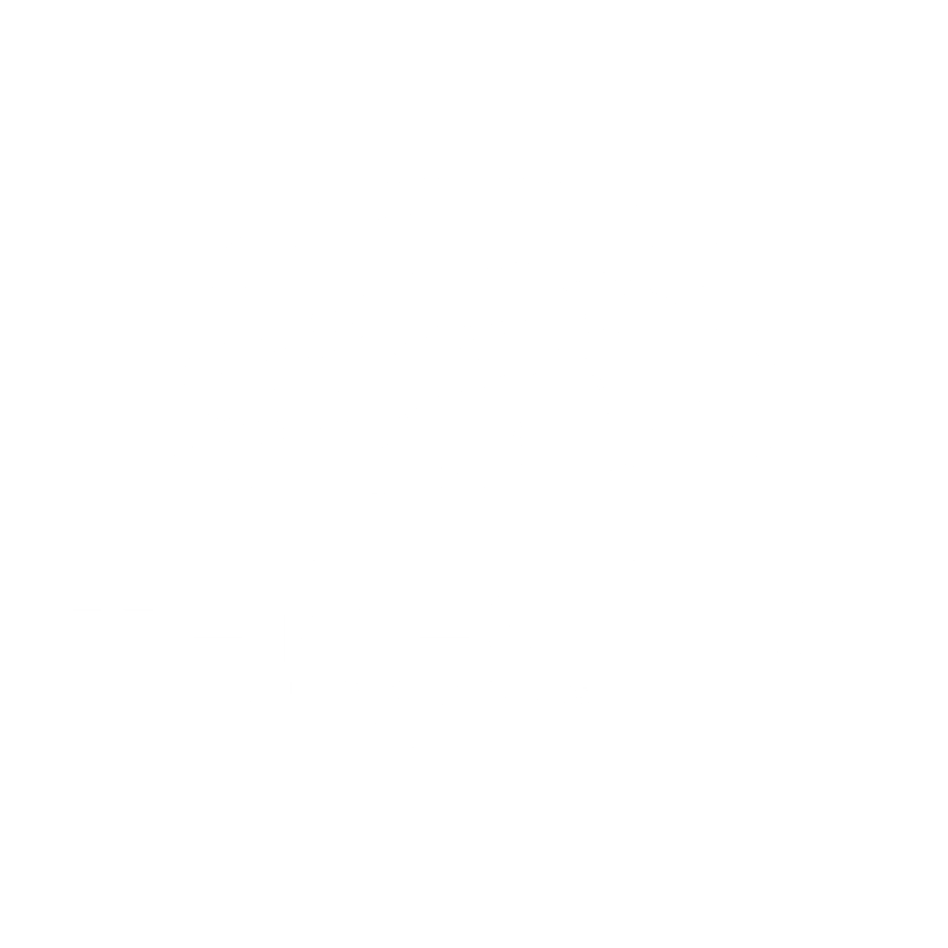 Temecula Auto Glass and Tinting