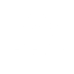 Temecula Auto Glass and Tinting