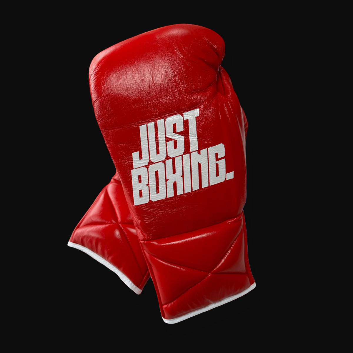 Limited - Elite MX Fight Gloves