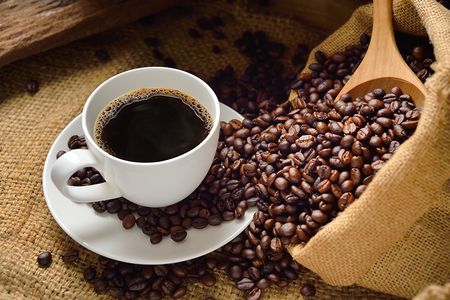 Quality coffee seeds