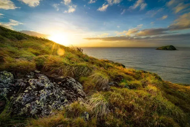 Coastal Hillside with Golden Grasses and Rocky Foreground — Keppel Coaches in Barmaryee, QLD