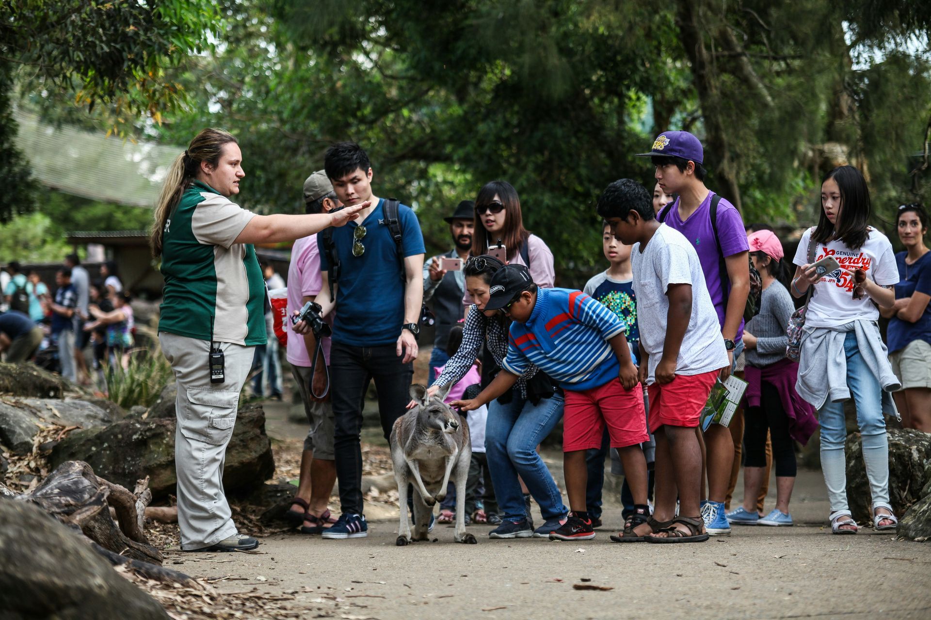 Zookeeper with a koala, surrounded by a group of people at a zoo — Keppel Coaches in Barmaryee, QLD