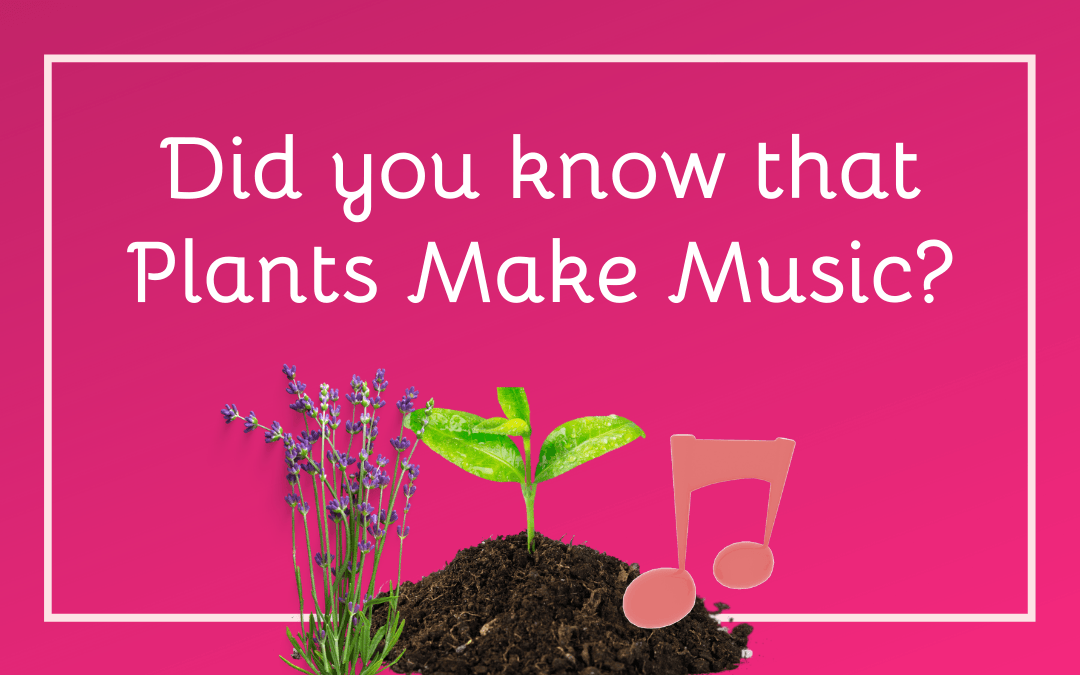 Did you know that Plants Make Music?