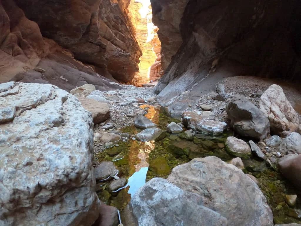 Narrow canyon with shallow water reflecting the sky, rocks along the path, sunlight ahead.