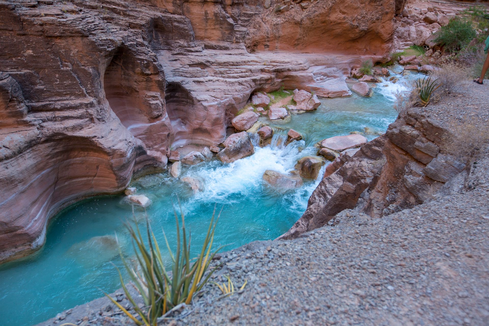 A turquoise river flows through a canyon. Rocky terrain, green vegetation, and clear water.