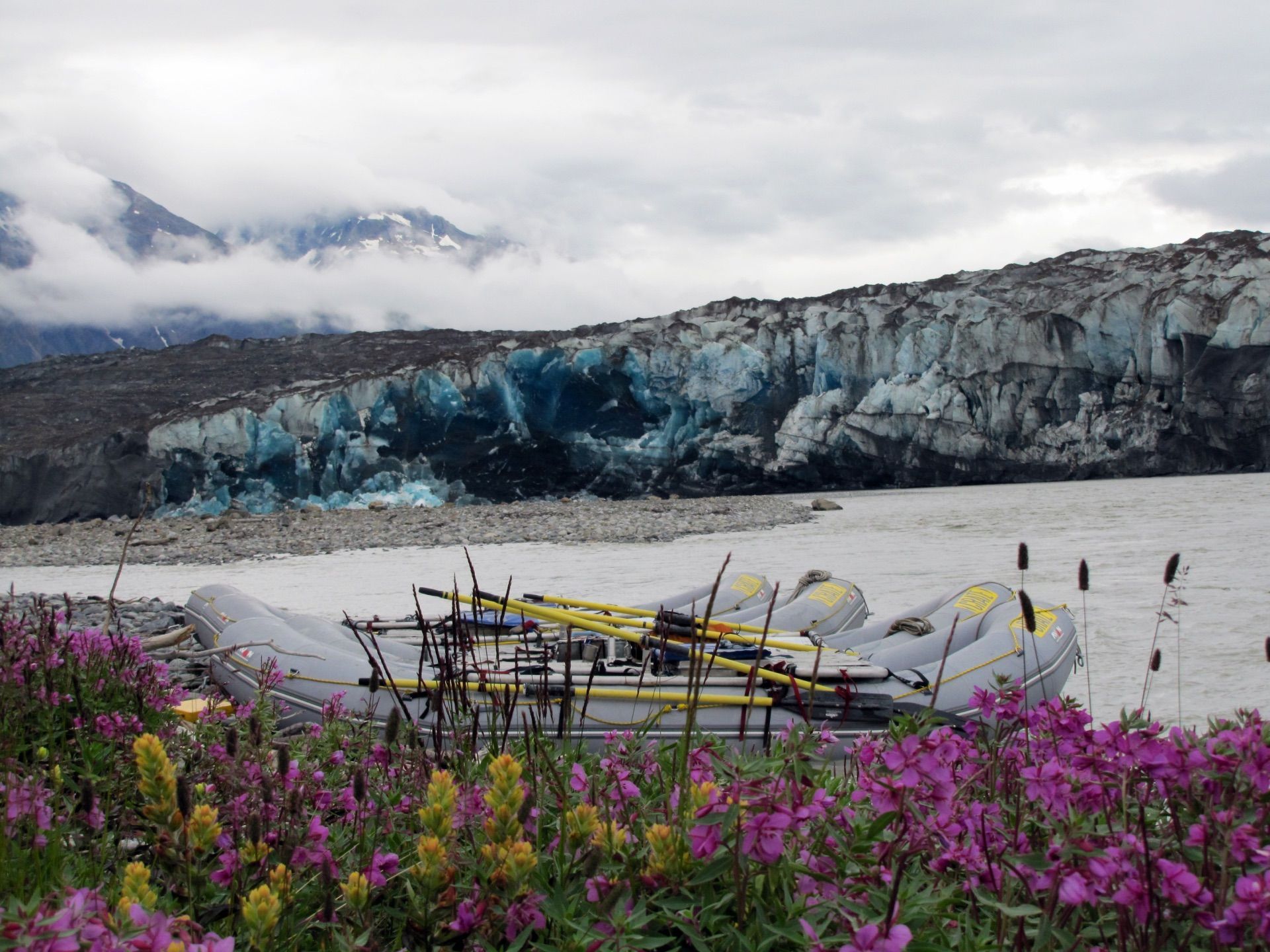 Rafts on a river in front of a glacier with purple wildflowers in the foreground and a cloudy sky.