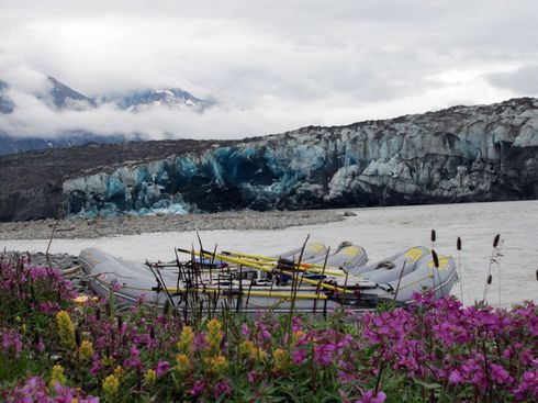 Rafts on a river in front of a glacier with purple wildflowers in the foreground and a cloudy sky.