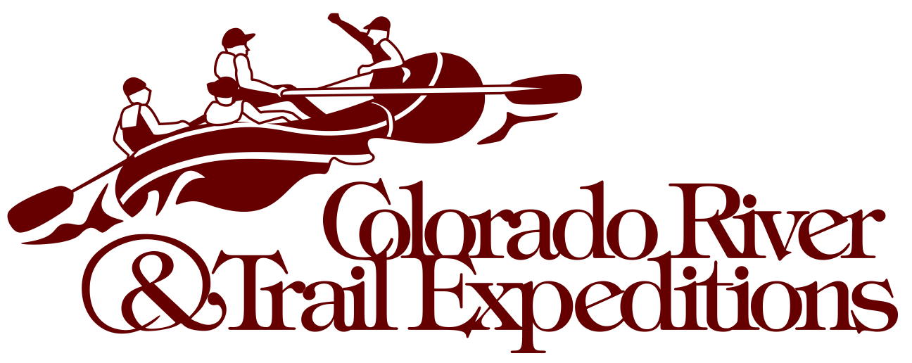 A stylized black and red killer whale, a traditional Native American art form.