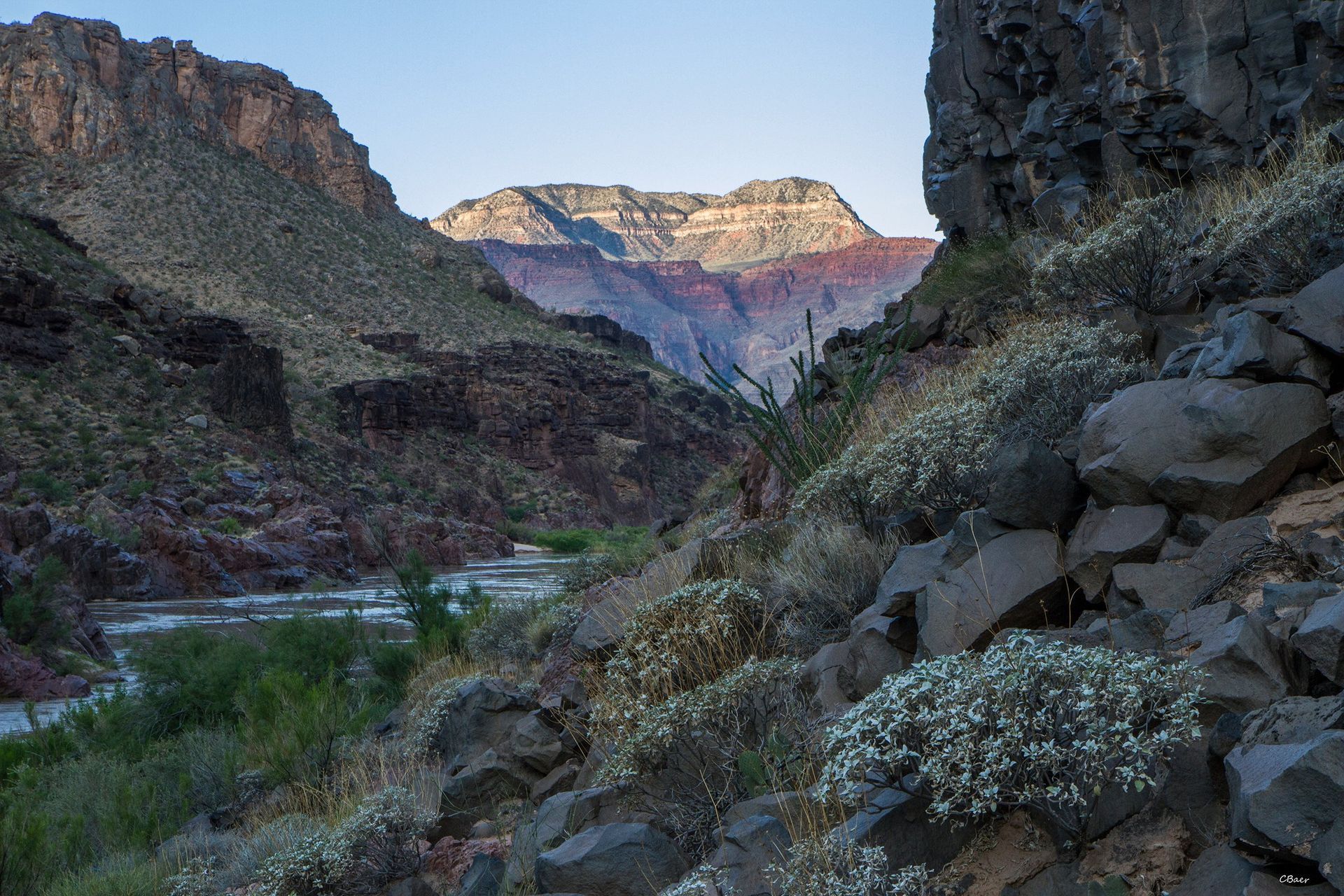 River flows through a canyon. Mountains with pink and purple hues in the distance. Rocky foreground with white flowers.