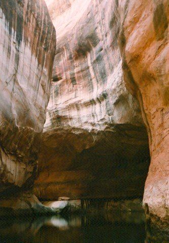 Narrow canyon with water reflecting the sandstone walls.