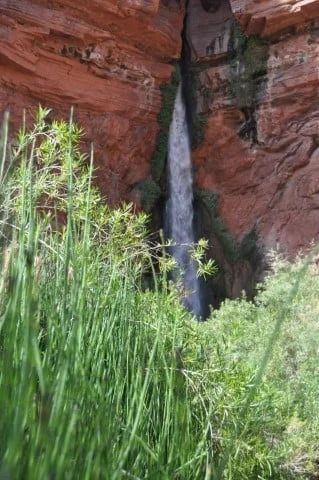Waterfall cascading down a red rock canyon. Green plants grow along the base.