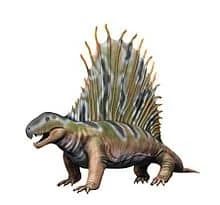 Dimetrodon, a prehistoric reptile with a large fin on its back.