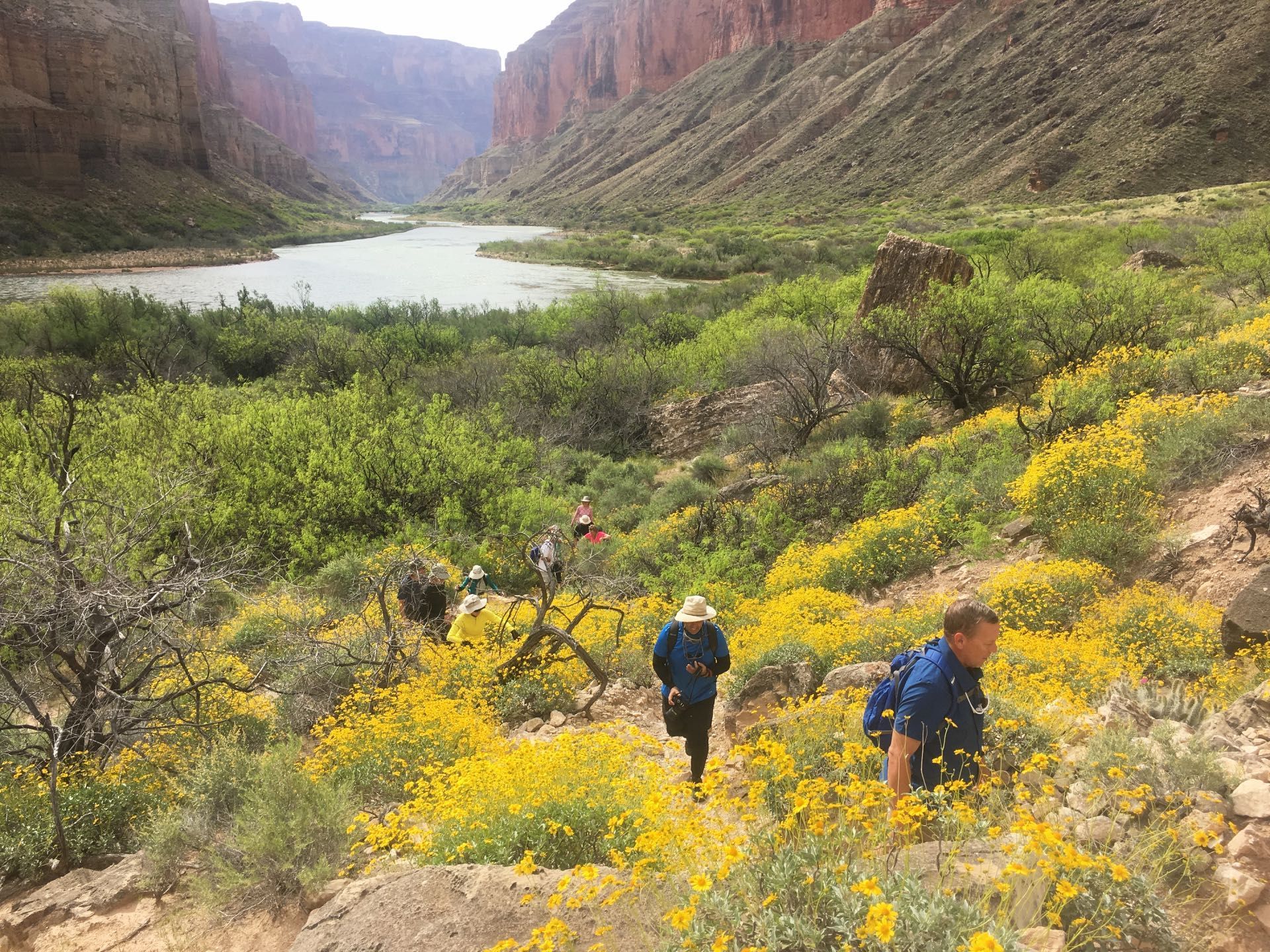 Rafting through a Grand Canyon