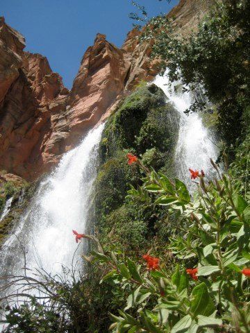 Waterfall cascading down reddish-brown cliffs, surrounded by green foliage and red flowers, under a blue sky.