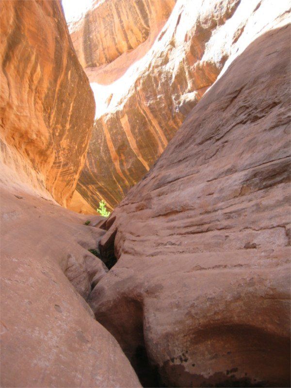 Narrow sandstone canyon with light filtering through; orange and brown hues.