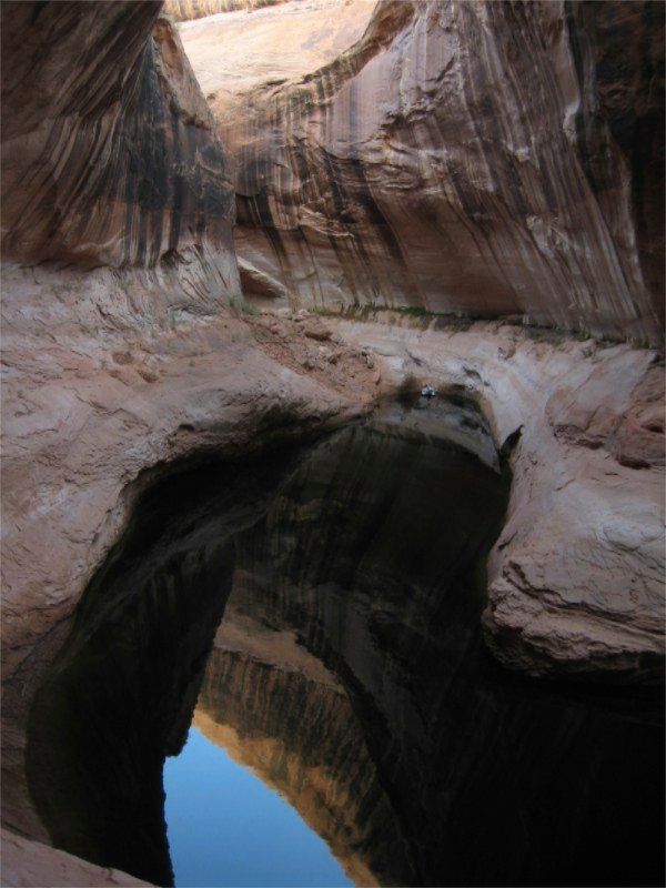 Looking up through a sandstone arch, blue sky visible. Light and shadow create depth in the canyon walls.