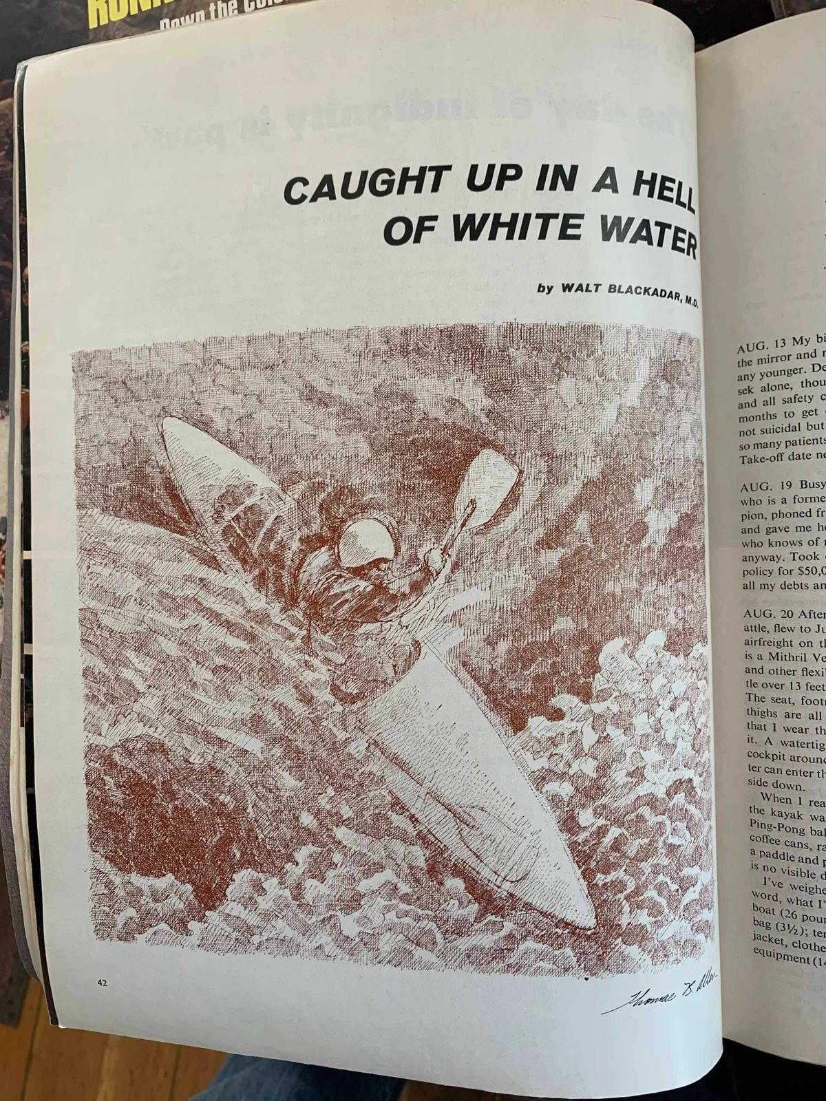 Spread in a print publication. Title