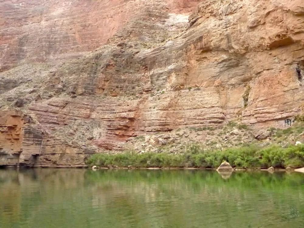 A layered red rock canyon rises above a green river; some green plants are visible at the water's edge.