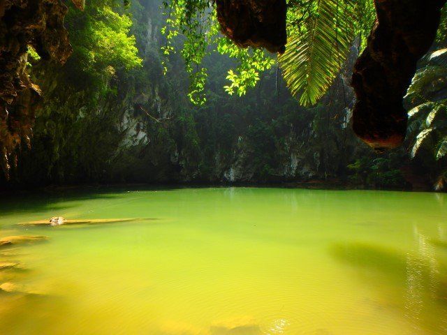 Green lake inside a cave, surrounded by lush green foliage and rock formations. Sunlight filters through.